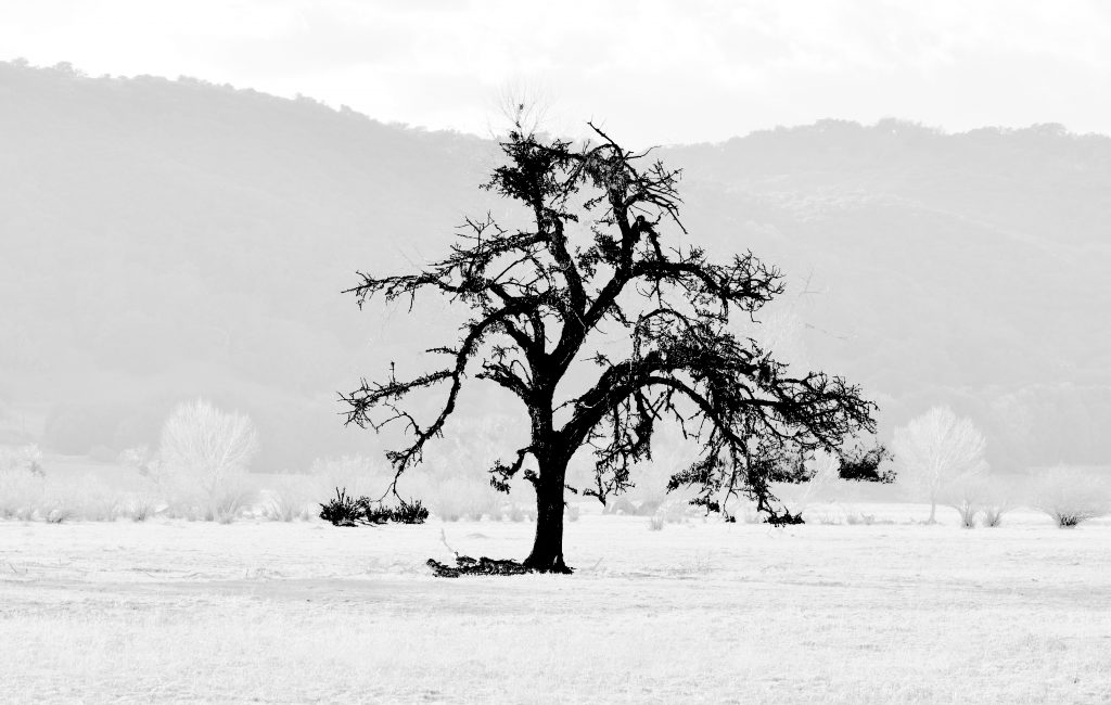 Winter in San Diego