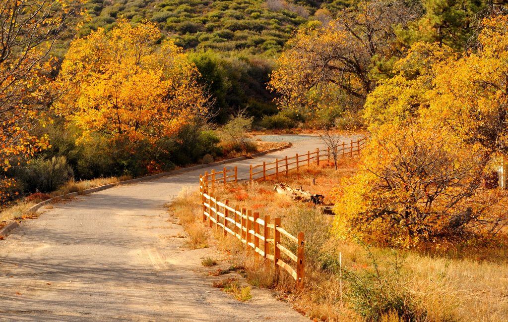 Mountain Road